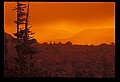 02253-00031-Dolly Sods National Recreation Area, WV.jpg