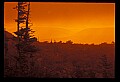 02253-00032-Dolly Sods National Recreation Area, WV.jpg