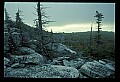 02253-00041-Dolly Sods National Recreation Area, WV.jpg