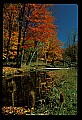 02253-00049-Dolly Sods National Recreation Area, WV.jpg