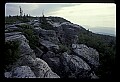 02253-00051-Dolly Sods National Recreation Area, WV.jpg