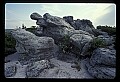 02253-00052-Dolly Sods National Recreation Area, WV.jpg