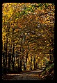 02253-00057-Dolly Sods National Recreation Area, WV.jpg