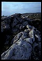 02253-00062-Dolly Sods National Recreation Area, WV.jpg