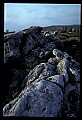 02253-00063-Dolly Sods National Recreation Area, WV.jpg