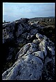 02253-00064-Dolly Sods National Recreation Area, WV.jpg