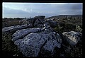 02253-00071-Dolly Sods National Recreation Area, WV.jpg