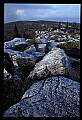 02253-00082-Dolly Sods National Recreation Area, WV.jpg