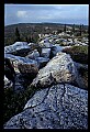 02253-00084-Dolly Sods National Recreation Area, WV.jpg