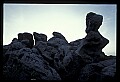 02253-00089-Dolly Sods National Recreation Area, WV.jpg