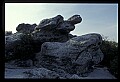 02253-00095-Dolly Sods National Recreation Area, WV.jpg