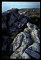 02253-00112-Dolly Sods National Recreation Area, WV.jpg