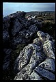 02253-00113-Dolly Sods National Recreation Area, WV.jpg