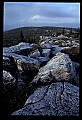 02253-00115-Dolly Sods National Recreation Area, WV.jpg