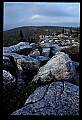 02253-00116-Dolly Sods National Recreation Area, WV.jpg