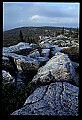 02253-00117-Dolly Sods National Recreation Area, WV.jpg