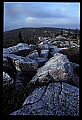 02253-00118-Dolly Sods National Recreation Area, WV.jpg