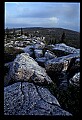 02253-00120-Dolly Sods National Recreation Area, WV.jpg