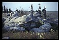 02253-00122-Dolly Sods National Recreation Area, WV.jpg