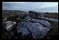 02253-00123-Dolly Sods National Recreation Area, WV.jpg