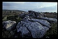 02253-00124-Dolly Sods National Recreation Area, WV.jpg