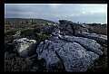 02253-00125-Dolly Sods National Recreation Area, WV.jpg
