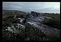 02253-00127-Dolly Sods National Recreation Area, WV.jpg