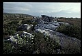 02253-00128-Dolly Sods National Recreation Area, WV.jpg