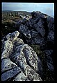 02253-00129-Dolly Sods National Recreation Area, WV.jpg