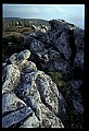 02253-00131-Dolly Sods National Recreation Area, WV.jpg