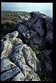 02253-00132-Dolly Sods National Recreation Area, WV.jpg