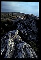 02253-00133-Dolly Sods National Recreation Area, WV.jpg