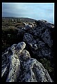 02253-00134-Dolly Sods National Recreation Area, WV.jpg