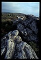 02253-00135-Dolly Sods National Recreation Area, WV.jpg