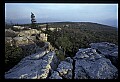 02253-00136-Dolly Sods National Recreation Area, WV.jpg