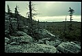 02253-00147-Dolly Sods National Recreation Area.jpg