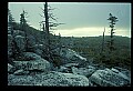 02253-00148-Dolly Sods National Recreation Area.jpg