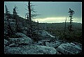 02253-00151-Dolly Sods National Recreation Area.jpg