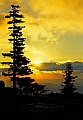 1-6-07-00179 sunrise-dolly sods, bear rocks.jpg