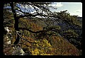 02255-00007-New River Gorge National Scenic River.jpg