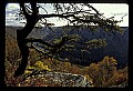 02255-00008-New River Gorge National Scenic River.jpg