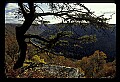 02255-00010-New River Gorge National Scenic River.jpg