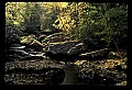 02255-00026-New River Gorge National Scenic River.jpg