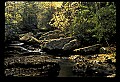 02255-00029-New River Gorge National Scenic River.jpg