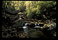 02255-00031-New River Gorge National Scenic River.jpg