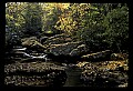 02255-00034-New River Gorge National Scenic River.jpg
