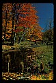 00000-00022-Spruce Knob area, WV.jpg