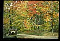 02256-00001-Spruce Knob National Recreation Area-Monongahela National Forest.jpg