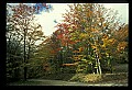 02256-00002-Spruce Knob National Recreation Area-Monongahela National Forest.jpg