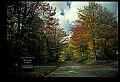 02256-00004-Spruce Knob National Recreation Area-Monongahela National Forest.jpg